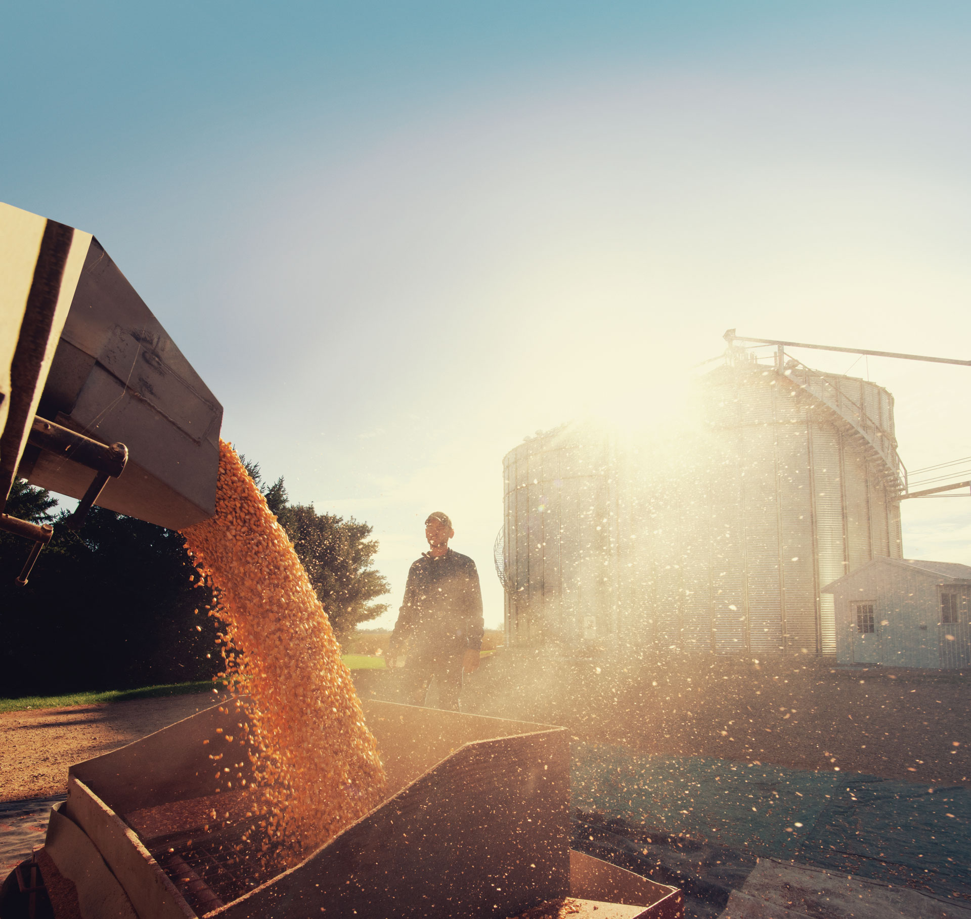 Shivvers0894 farmer standing behind grain being unloaded | Shivvers