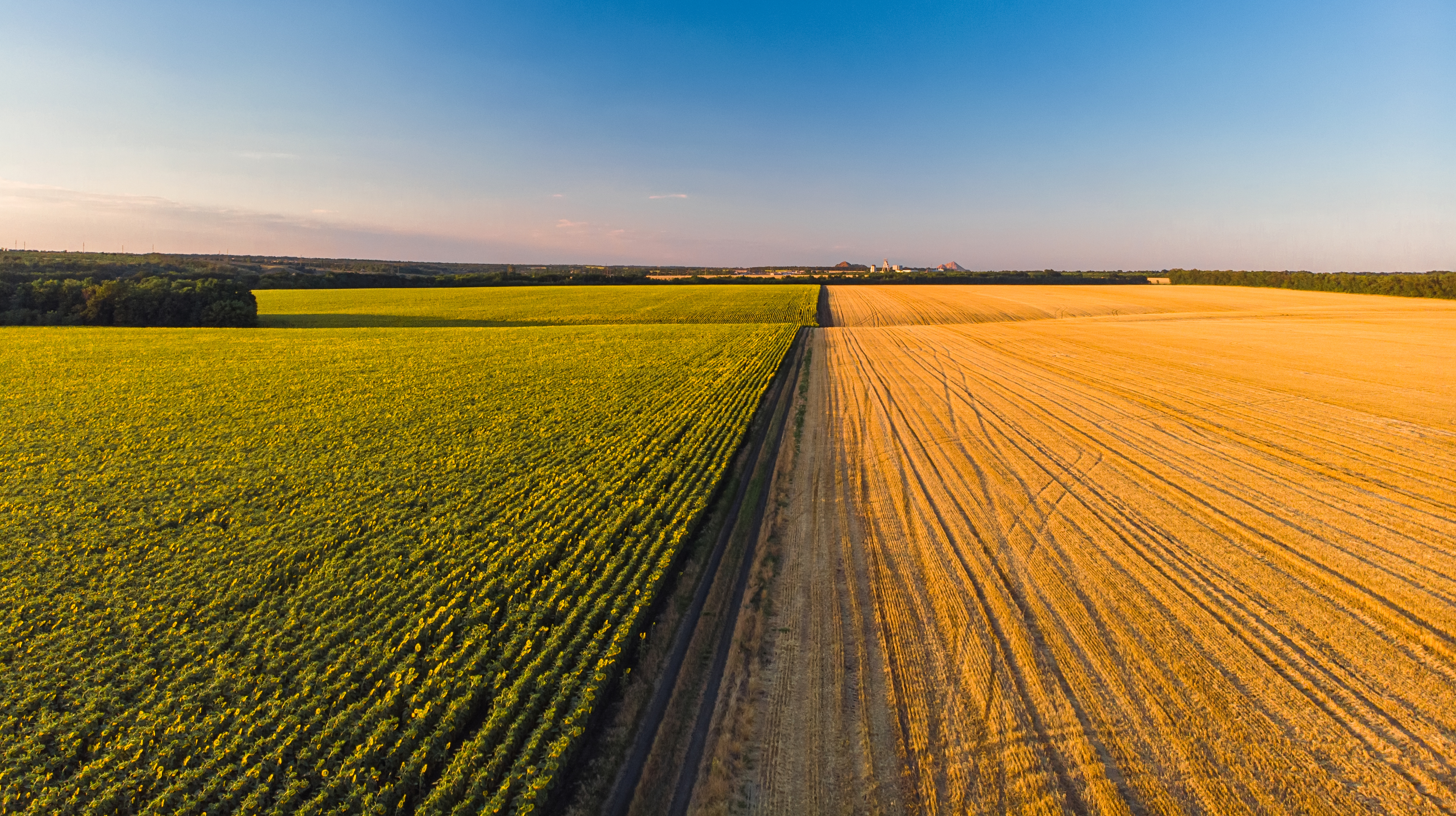img-the-cc-story zoomed out image of fields | Shivvers